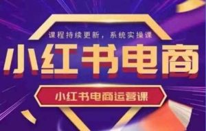 小红书电商运营实操课,新手从0~1落地实操-个人经验技术分享