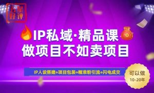 2025年“IP私域·密训精品课”，日赚3000+小白避坑年赚百万，暴力引流…-个人经验技术分享