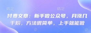 付费文章:新手做公众号,月涨几干粉,方法很简单,上手就能做-个人经验技术分享