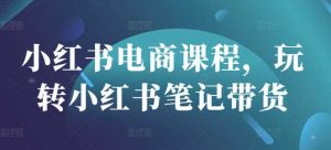 小红书电商课程,玩转小红书笔记带货-个人经验技术分享