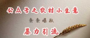deepseek写农村小项目,条条爆款,暴力引流-个人经验技术分享
