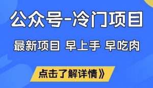 公众号冷门赛道，早上手早吃肉，单月轻松稳定变现1W【揭秘】-个人经验技术分享