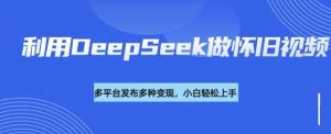 利用DeepSeek做怀旧视频,流量号多渠道变现能力强-个人经验技术分享