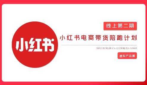 2025小红书虚拟电商实战课，从0到1打造无货源店铺，AI+爆款笔记轻松变现 -1