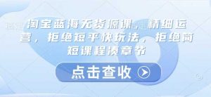 淘宝蓝海无货源课，精细运营，拒绝短平快玩法，拒绝简短课程凑章节-个人经验技术分享