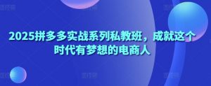 2025拼多多实战系列私教班,成就这个时代有梦想的电商人-个人经验技术分享