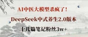 AI中医大模型杀疯了!DeepSeek中式养生2.0版本,十几篇笔记粉丝3w+-个人经验技术分享