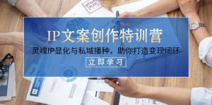 IP文案创作特训营,灵魂IP显化与私域播种,助你打造变现闭环(14节课)-个人经验技术分享