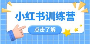 小红书训练营,助小白入门,掌握技巧变达人,课程实操又全面(12节课)-个人经验技术分享