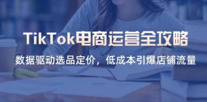 TikTok电商运营全攻略,数据驱动选品定价,低成本引爆店铺流量-个人经验技术分享