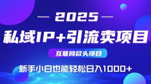 私域IP+卖项目,普通人小白也能轻松实现日入1000+-个人经验技术分享