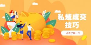 私域成交技巧,帮你从入门到精通,破解四大痛点,快速变现,轻松收钱-个人经验技术分享