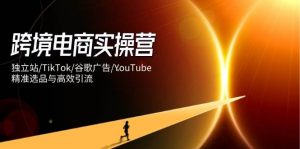 跨境电商实操营:独立站/TikTok/谷歌广告/YouTube,精准选品与高效引流-个人经验技术分享