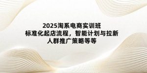2025淘系电商实训班：标准化起店流程，智能计划与拉新，人群推广策略等等-个人经验技术分享