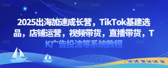 2025出海加速成长营，TikTok基建选品，店铺运营，视频带货，直播带货，TK广告投流等系统教程 -1