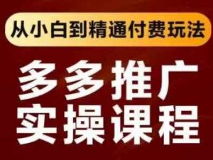 拼多多推广实操课程,从小白到精通付费玩法-个人经验技术分享