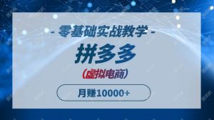 拼多多虚拟电商，零基础实战教学，快速打爆商品，新手也能月入10000+-个人经验技术分享
