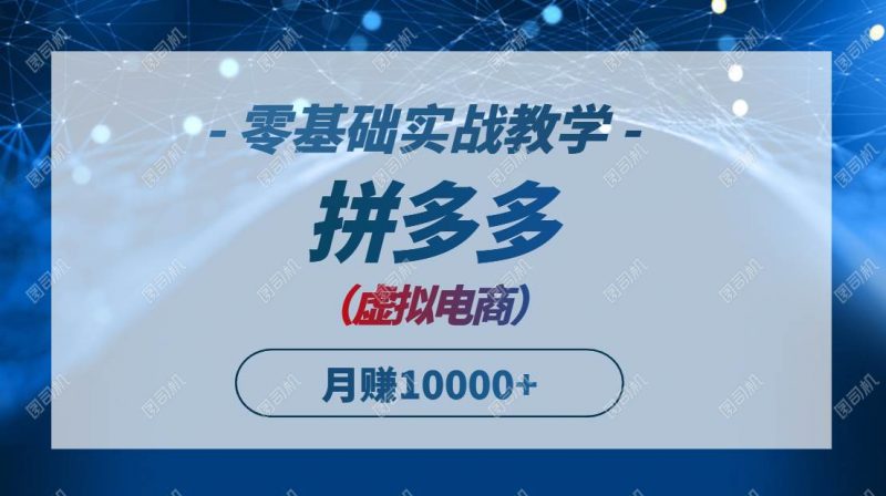 拼多多虚拟电商，零基础实战教学，快速打爆商品，新手也能月入10000+ -1