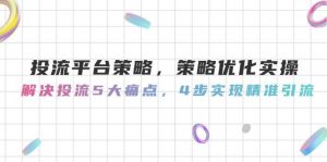 投流平台策略，策略优化实操，解决投流5大痛点，4步实现精准引流-个人经验技术分享