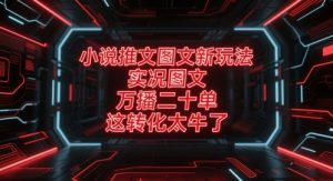 小说推文图文新玩法，实况图文，万播二十单，这转化太牛了！-个人经验技术分享