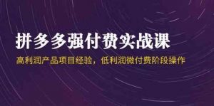 拼多多强付费实战课-44期,高利润产品项目经验,低利润微付费阶段操作-个人经验技术分享
