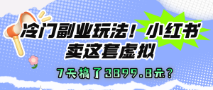 冷门副业玩法!小红书卖这套虚拟资料,7天搞了3899.8元?-个人经验技术分享