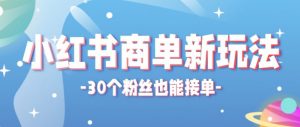 小红书商单新玩法，30个粉丝也能接单，一个月接三单赚了150+！适合新手小白操作-个人经验技术分享
