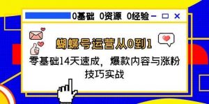 蝴蝶号运营从0到1,零基础14天速成,爆款内容与涨粉技巧实战-个人经验技术分享