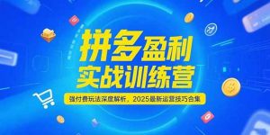 拼多多盈利实战训练营,强付费玩法深度解析,2025最新运营技巧合集-个人经验技术分享