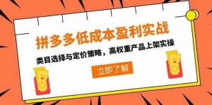 拼多多低成本盈利实战,类目选择与定价策略,高权重产品上架实操-个人经验技术分享