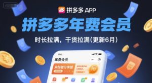 拼多多年费会员,实经验分享操,时长拉满,干货拉满(更新6月)-个人经验技术分享