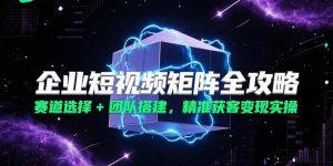 企业短视频矩阵全攻略,赛道选择+团队搭建,精准获客变现实操-个人经验技术分享