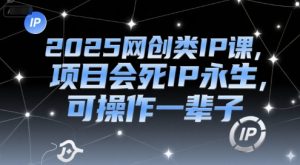 2025网创类IP课，项目会死IP永生，可操作一辈子-个人经验技术分享