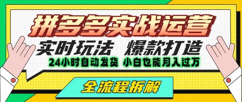 拼多多最新实战运营高投产：长久稳定项目，单店利润一天三位数 -1