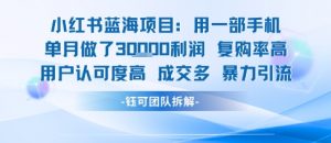 小红书蓝海项目,一部手机单月做了3W利润,小白也能月入过1W用户认可度高成交多-个人经验技术分享