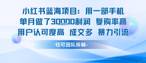 小红书蓝海项目，一部手机单月做了3W利润，小白也能月入过1W用户认可度高成交多 -1