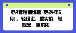 老A营销训练营(更25年7月),轻理论,重实战,轻概念,重本质-个人经验技术分享