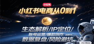 小红书电商从0到1：生态解析/IP定位/ 账号运营/爆款创作/直播带货/数据复盘/风险避坑-个人经验技术分享
