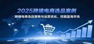 2025跨境电商选品案例,跨境电商选品策略与运营优化,挖掘蓝海市场-个人经验技术分享
