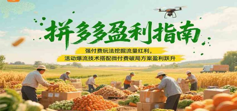 拼多多盈利指南：强付费玩法挖掘流量红利，活动爆流技术搭配微付费方案实现盈利跃升 -1