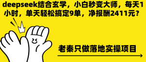 deepseek结合玄学,小白变大师,每天1小时轻松搞定9单,赚2411元-个人经验技术分享