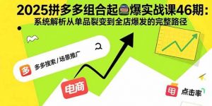 2025拼多多组合起爆实战课46期：系统解析从单品裂变到全店爆发的完整路径-个人经验技术分享