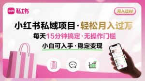 小红书私域项目 月入过W非常轻松 每天15分钟即可搞定,无任何操作门槛,小白可入手-个人经验技术分享