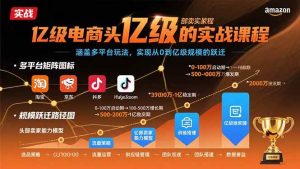 亿级电商头部卖家的实战课程:涵盖多平台玩法,实现从0到亿级规模的跃迁-个人经验技术分享