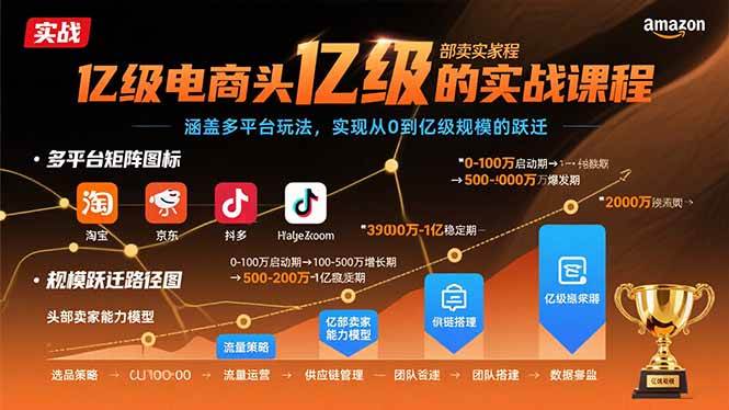 亿级电商头部卖家的实战课程：涵盖多平台玩法，实现从0到亿级规模的跃迁 -1