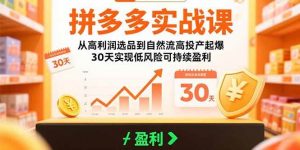 拼多多实战课:从高利润选品到自然流高投产起爆 30天实现低风险可持续盈利-个人经验技术分享