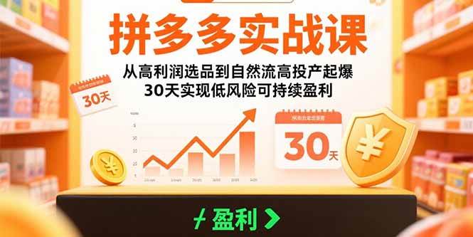 拼多多实战课：从高利润选品到自然流高投产起爆 30天实现低风险可持续盈利 -1