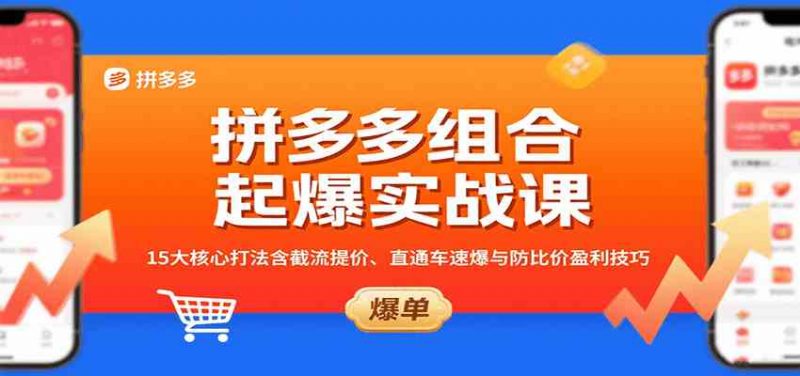 拼多多组合起爆实战课：15大核心打法含截流提价、直通车速爆与防比价盈利技巧 -1
