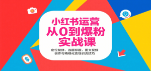 小红书运营从0到爆粉实战课:定位装修、选题标题,图文视频创作与精细化变现引流技巧-个人经验技术分享
