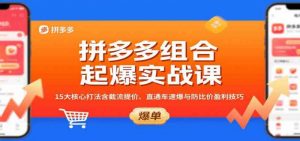 拼多多组合起爆实战课：15大核心打法含截流提价、直通车速爆与防比价盈利技巧-个人经验技术分享